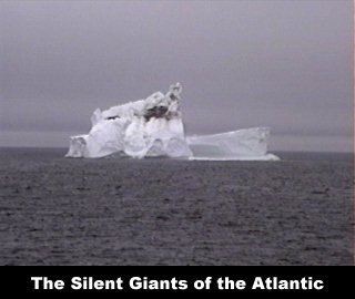 The Silent Giants of the Atlantic