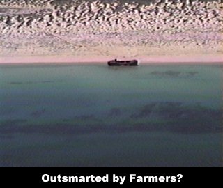 Outsmarted by Farmers?